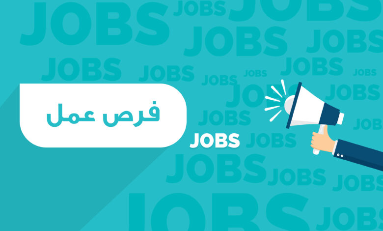 فرص عمل للشباب