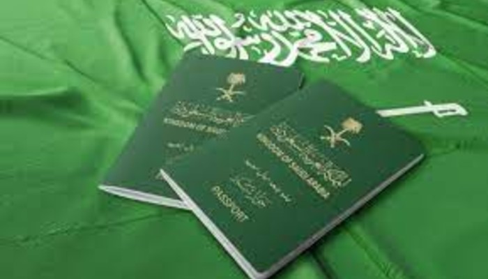 إنجاز استعلام عن تأشيرة برقم الطلب