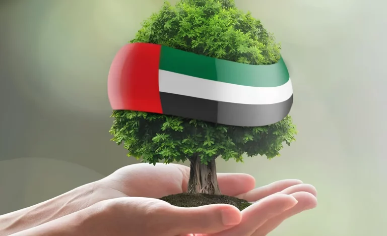 مساعدات مالية في الامارات للوافدين