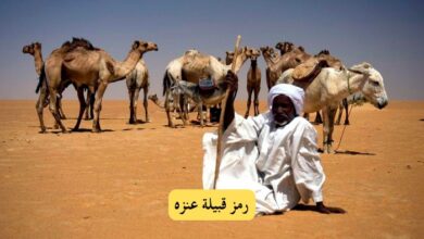 505 اي قبيلة