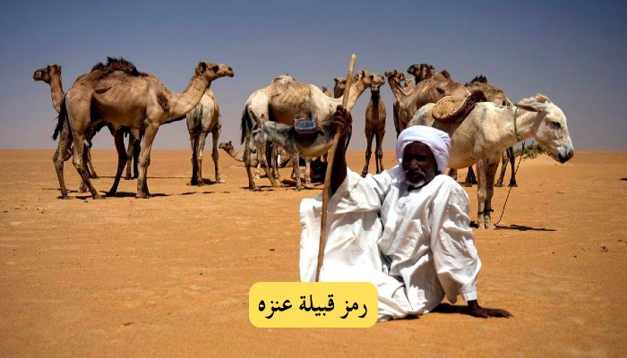 505 اي قبيلة