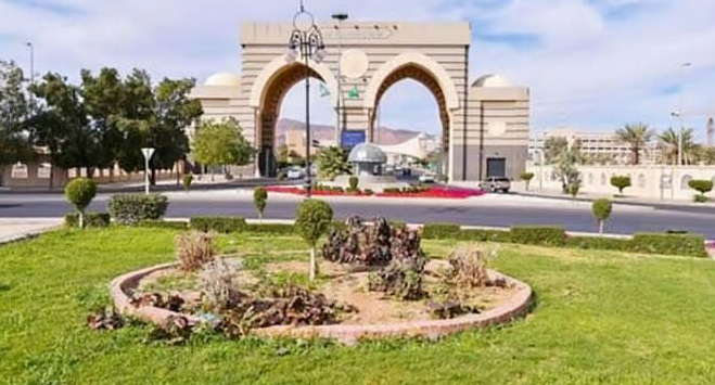 ماجستير العلوم المهني