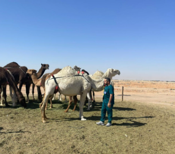 محمية الملك سلمان