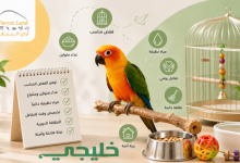 الطيور الاليفة