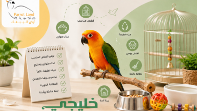 الطيور الاليفة
