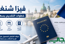 طلبات استخراج فيزا شنغن