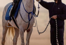 محمد العياف