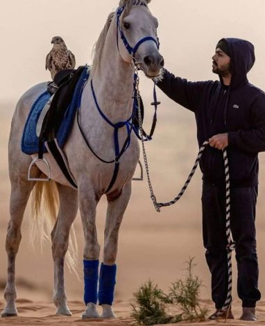 محمد العياف
