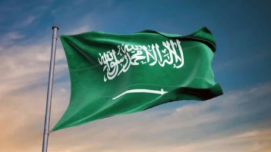 معرض فانسي فود