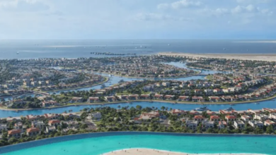 مطور مشروع علم الروم